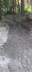 Oprava lesní cesty